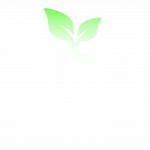 Tiny Root Studio