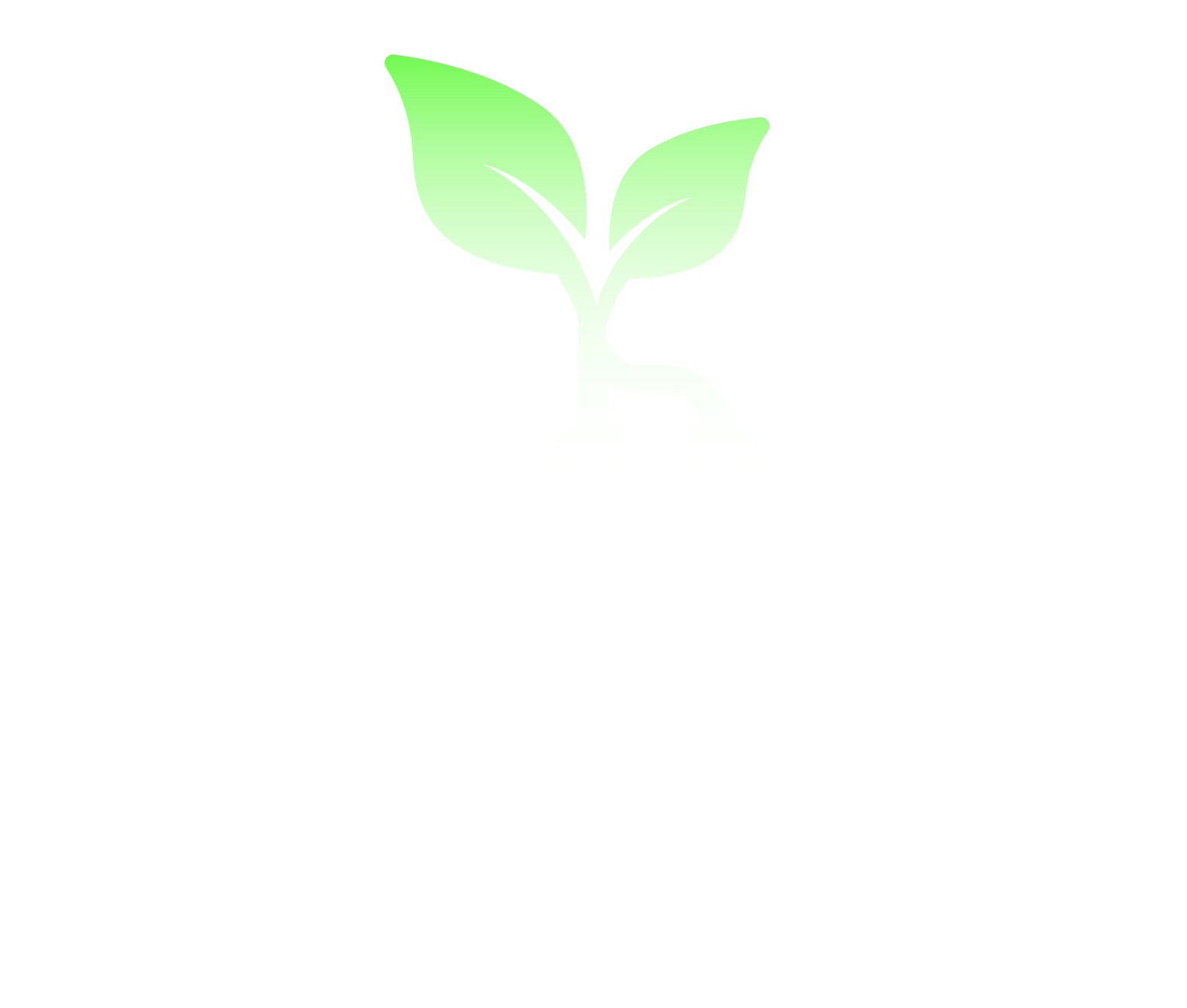 Tiny Root Studio